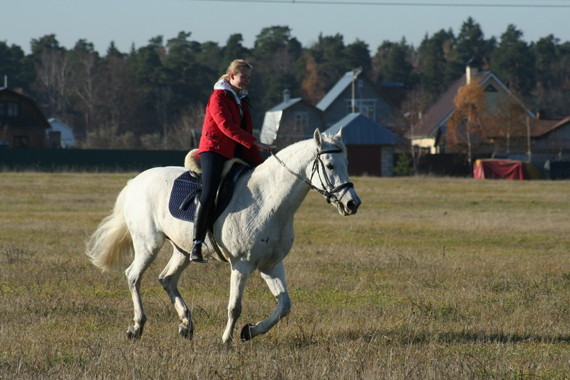 IMG_1211.jpg1.jpg"%20height="533"%20width="800